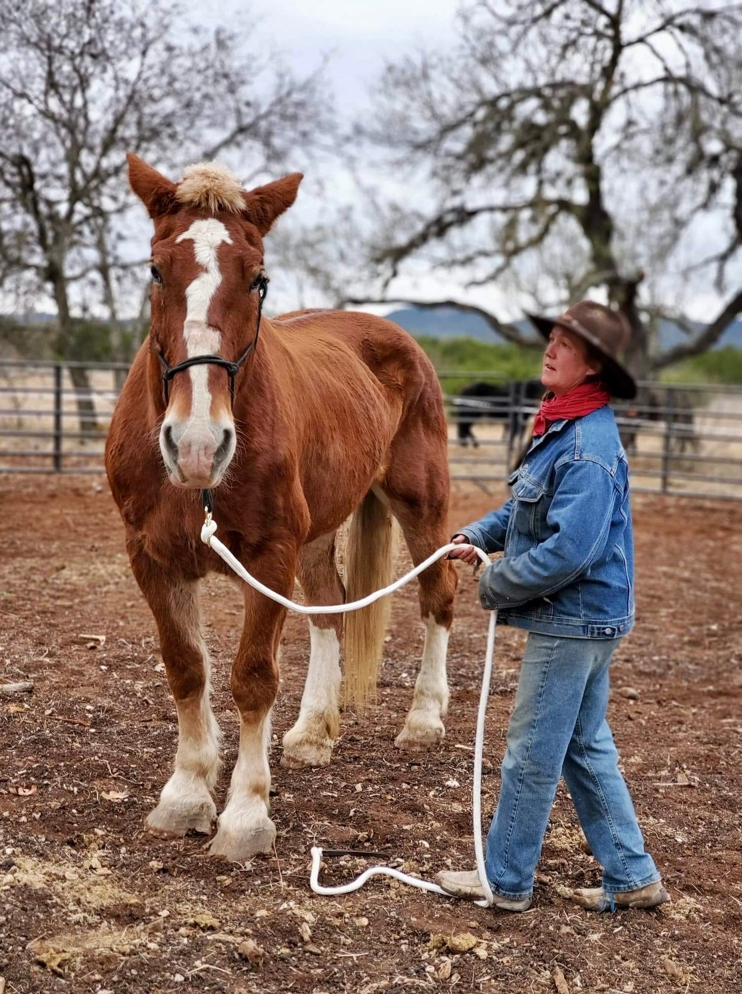 Master Horsemanship in Bandera, Texas