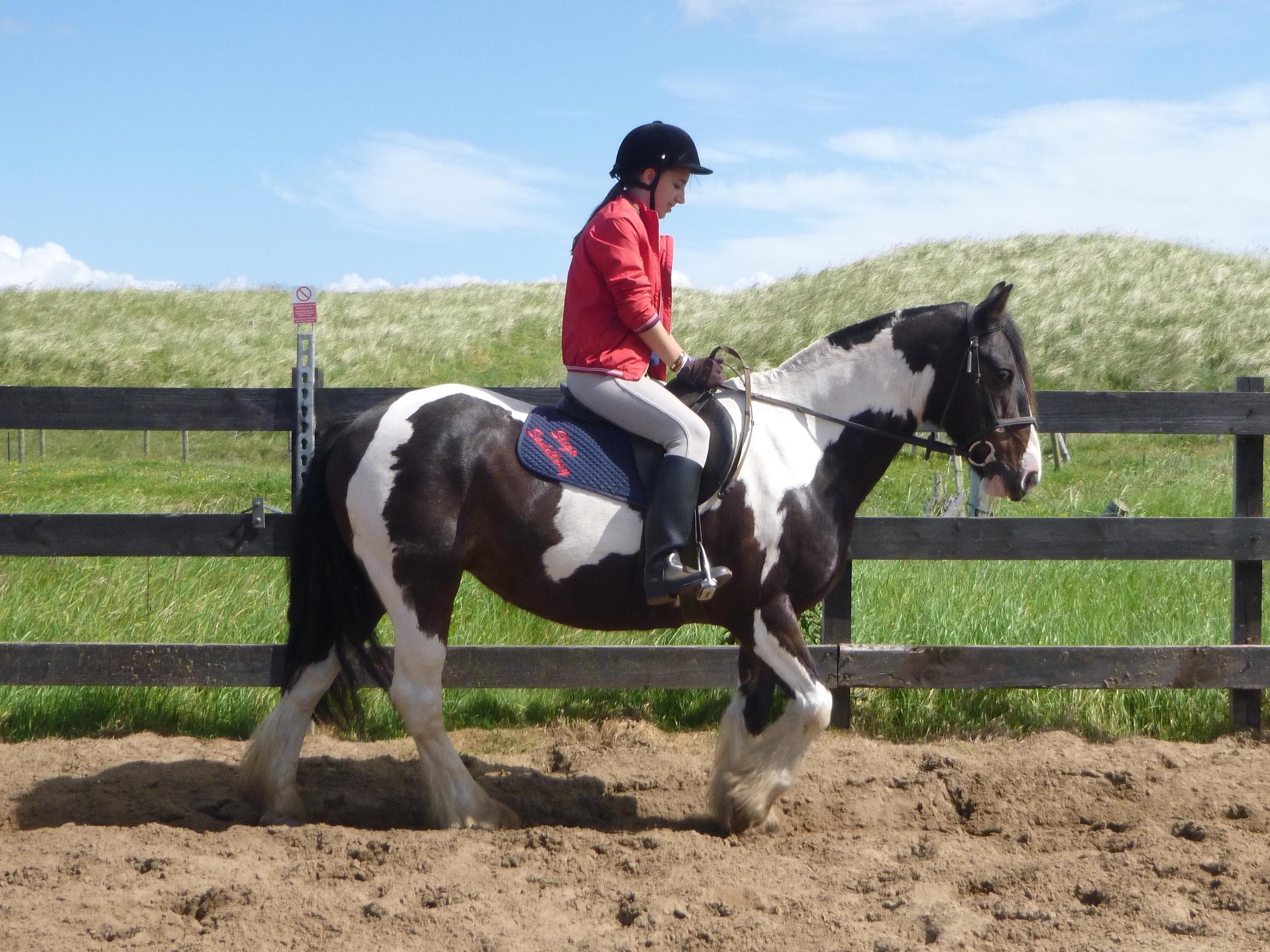 Beginner Horseback Riding at Donegal Equestrian Centre