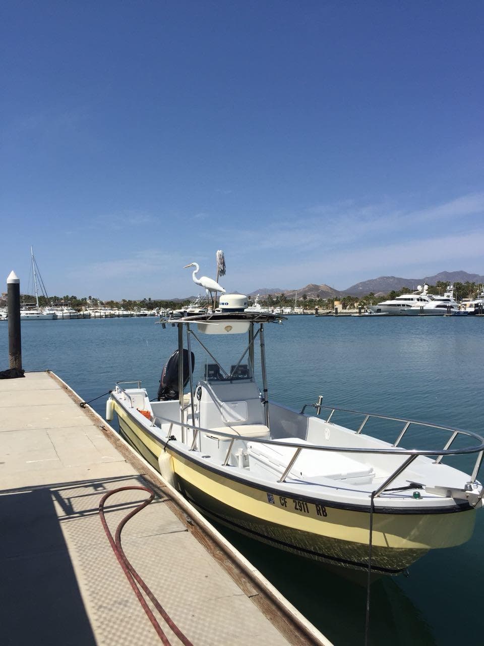 Whale Watching Adventure in Cabo on Lucky Seven