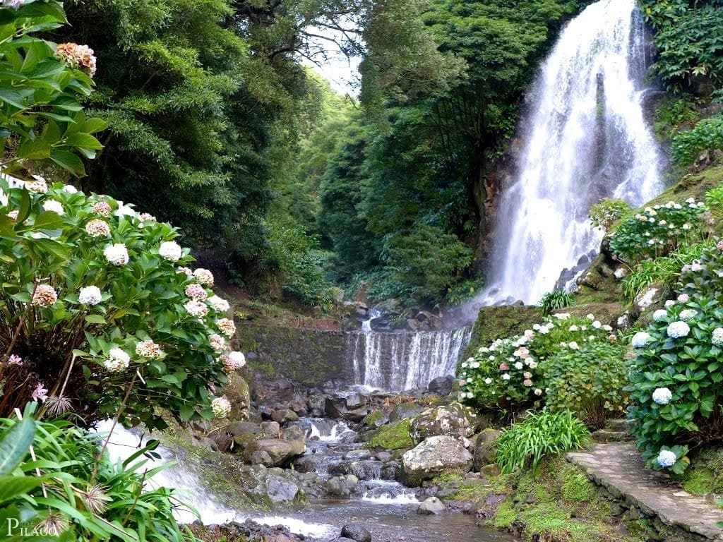 Full-Day Jeep Tour in Azores with T4W from Ponta Delgada