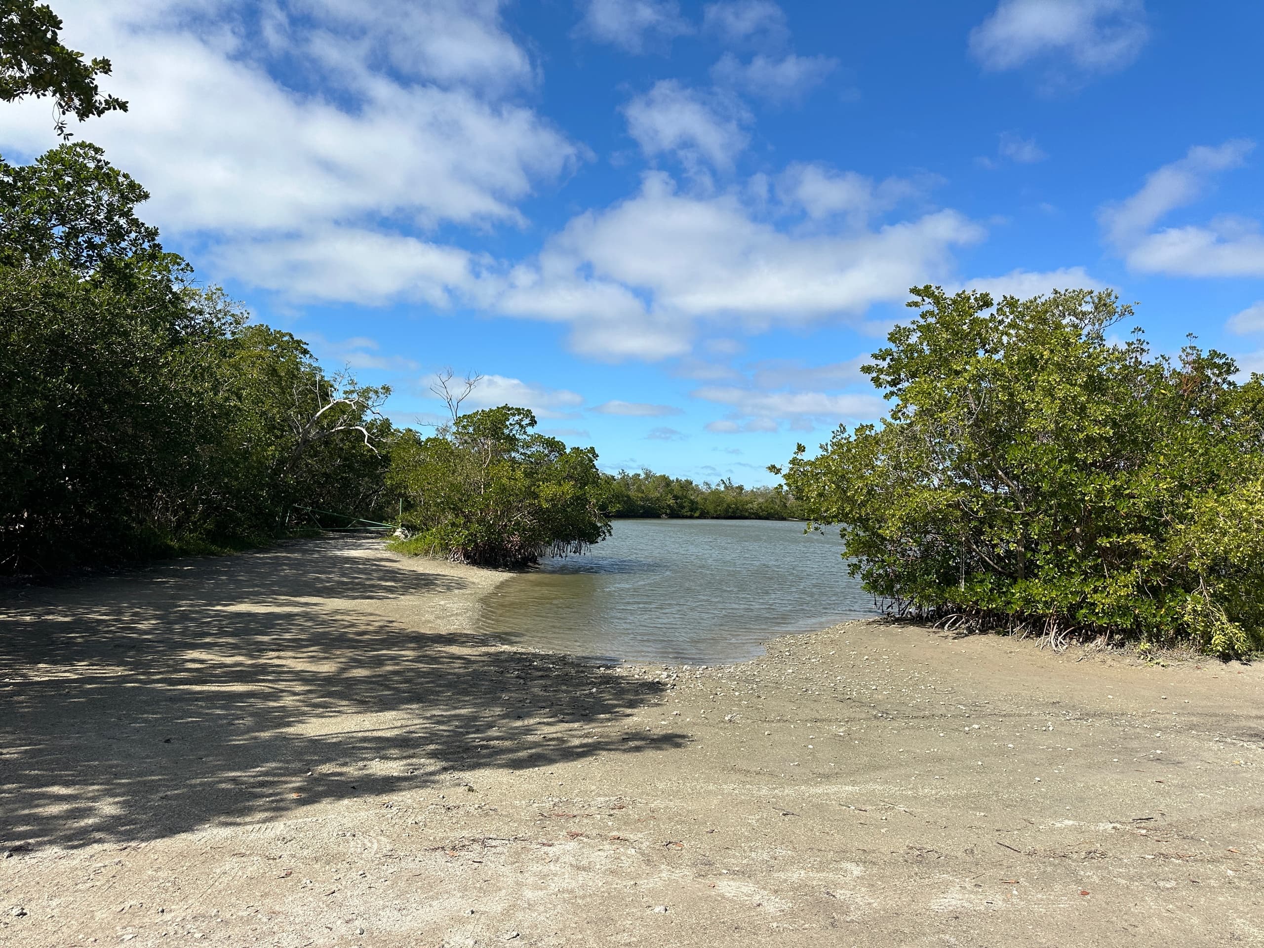 Explore Rookery Bay Reserve: Full-Day Kayak Rentals from Shell Island Road
