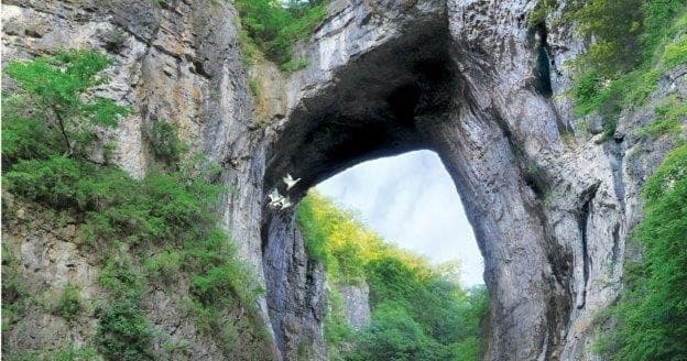 Natural rock bridge arch over forested gorge at Natural Bridge, VA