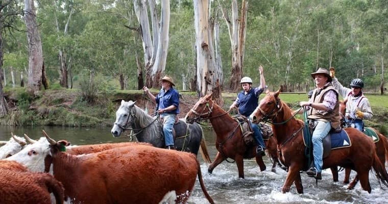 High Country Horseback Ride with Watson's Trail Rides