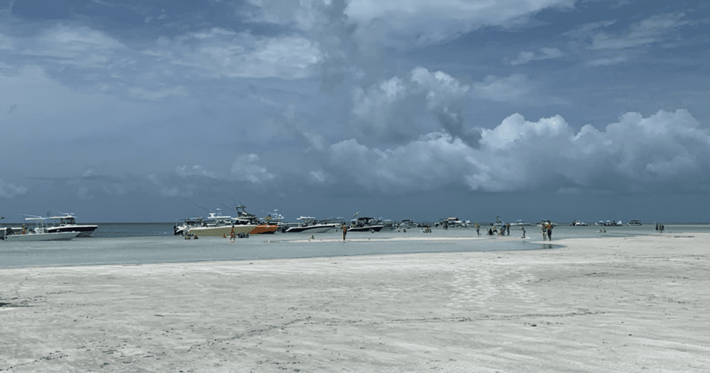 Waist-Deep Paradise: Eight Hour Private Charter to Marvin Key and Snipes Key in Key West photo 1