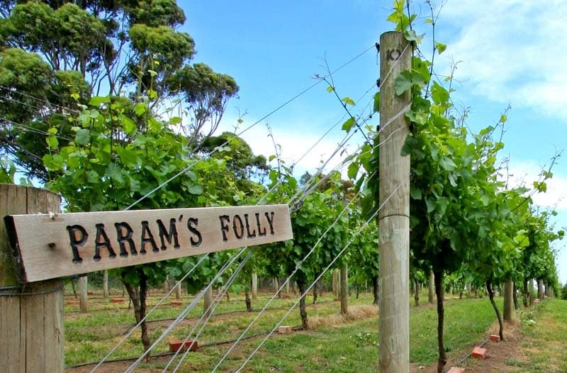 Wine Tasting & Vineyard Tour at Nazaaray Estate