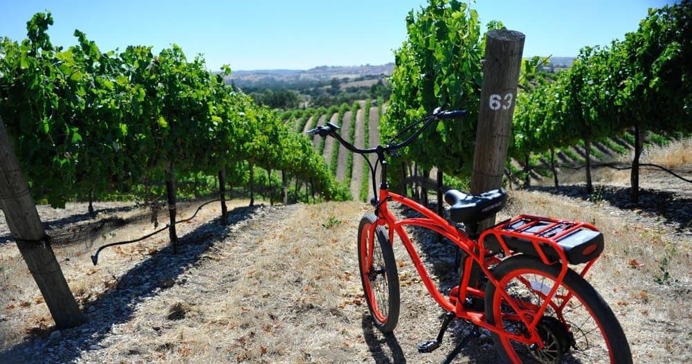 Orange electric bike parked among vineyard rows with rolling hills