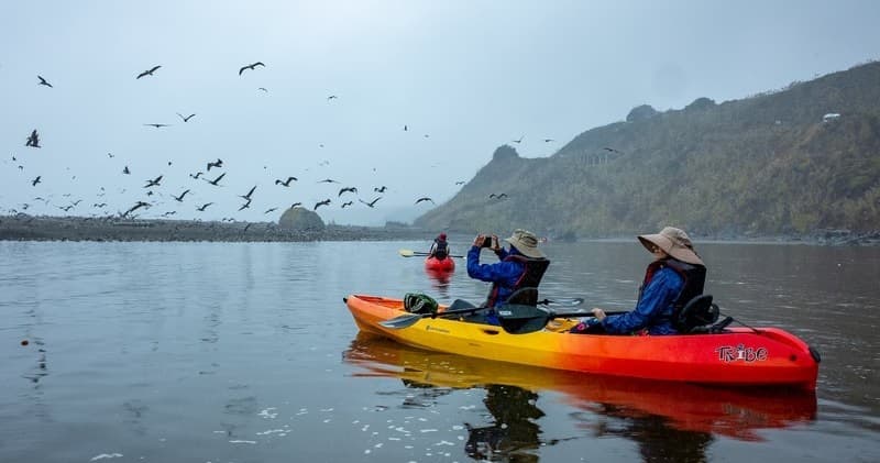 Paddle the Russian River Estuary: Jenner Kayak Tour for Seals, Birds & Coastal Scenery