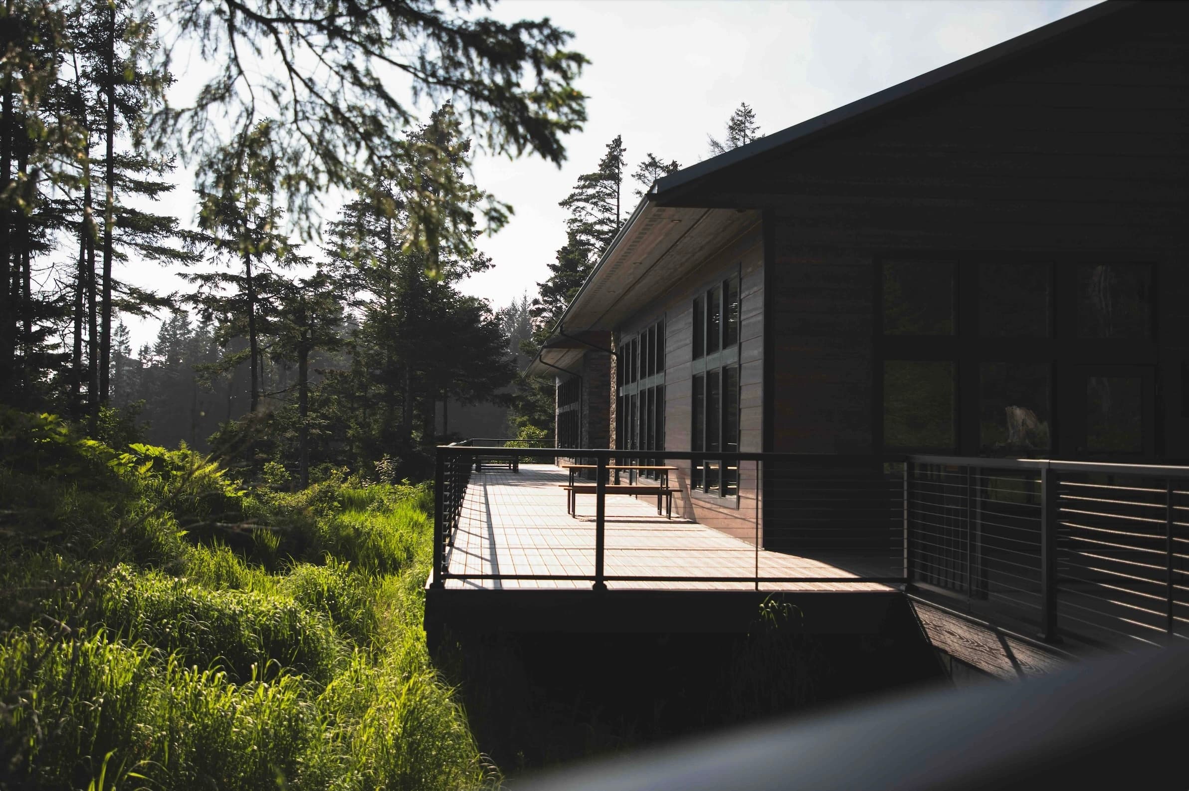 Secluded coastal lodge deck overlooking forested wetlands in Alaska