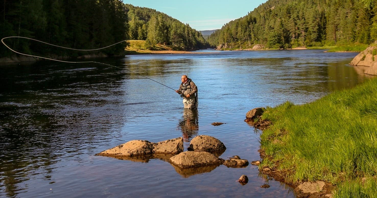 Fly fisherman casting over rocky river gorge amid pine forest
