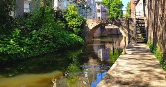 Historical Walking Tour of 's-Hertogenbosch with Cicerones