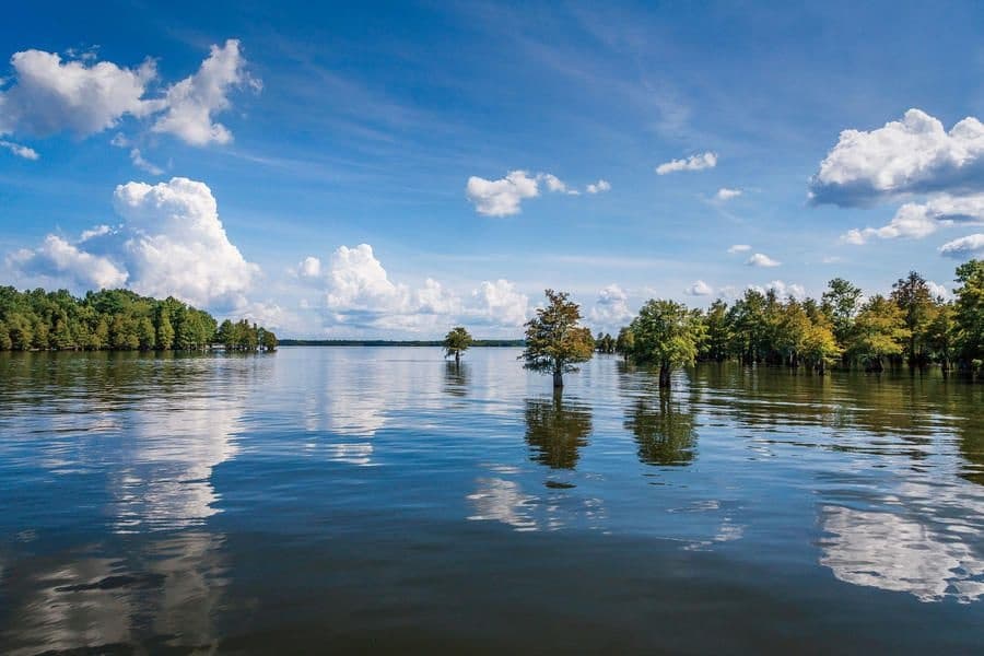 Escape on Santee Lake with the Bentley Switchback Pontoon Boat