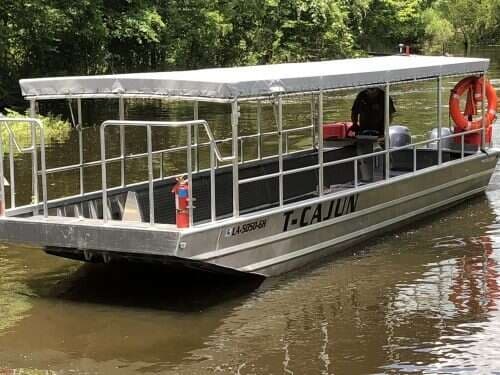 Swamp tour boat cruising calm bayou waters through cypress marsh, Louisiana