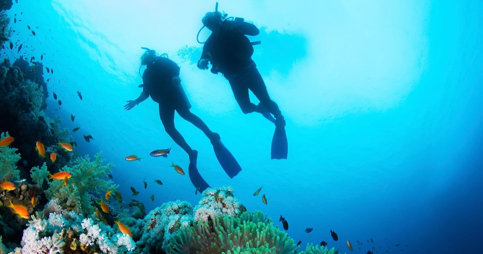 3-Day Open Water Diving Course with Subsurface Oahu