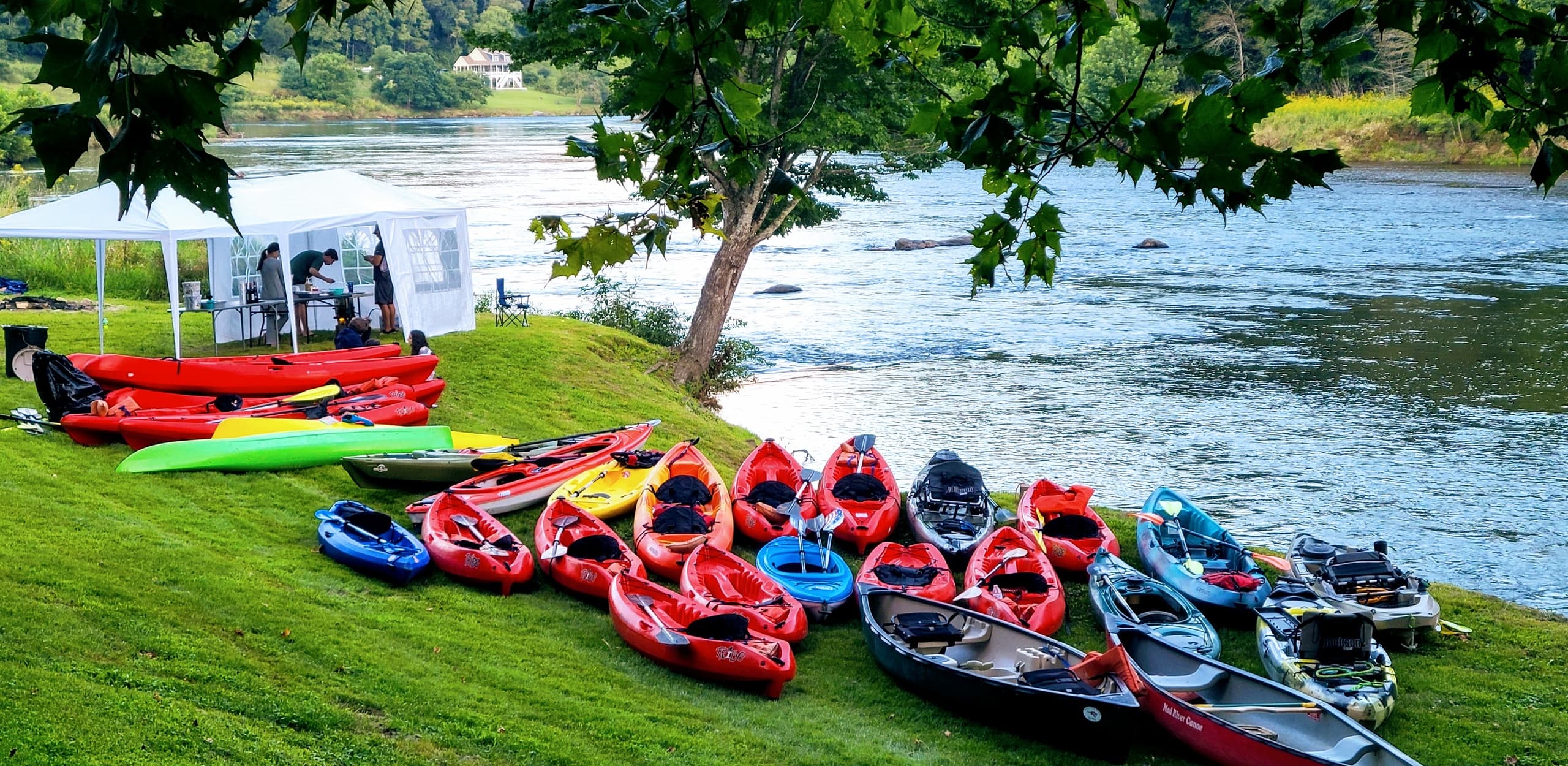 Multiple colorful kayaks lined on a riverbank ready for trips