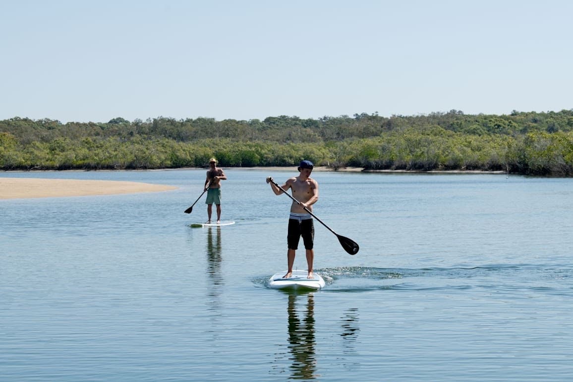Explore Noosa River with Stand Up Paddle Board Hire: A Beginner-Friendly Water Adventure