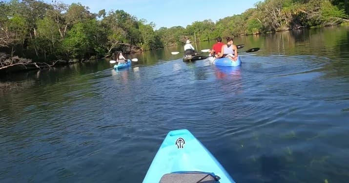 Kayak Adventure with Along The Banks Manatee Tours in Homosassa