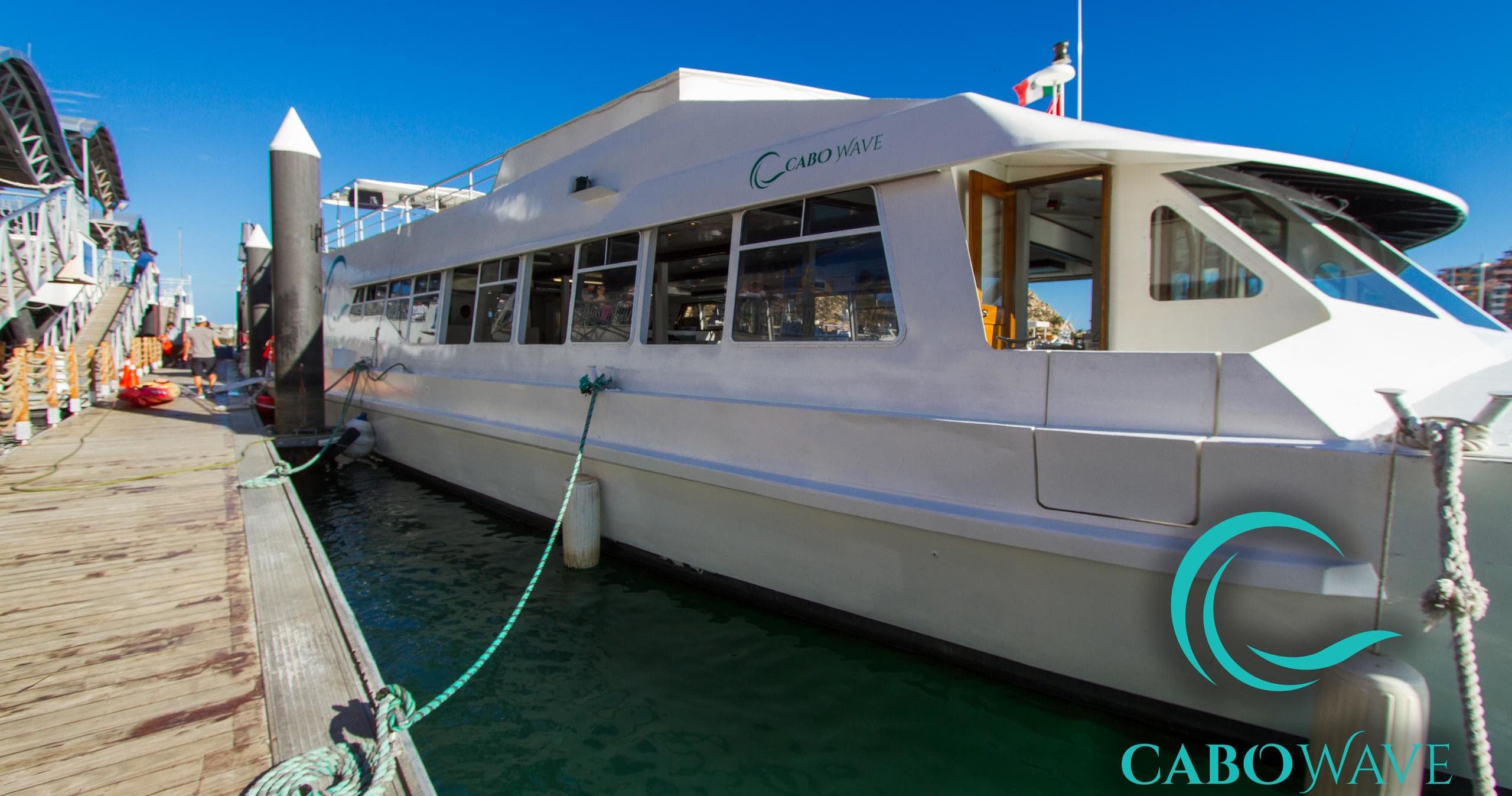 Experience Cabo Wave Cruises in Cabo San Lucas