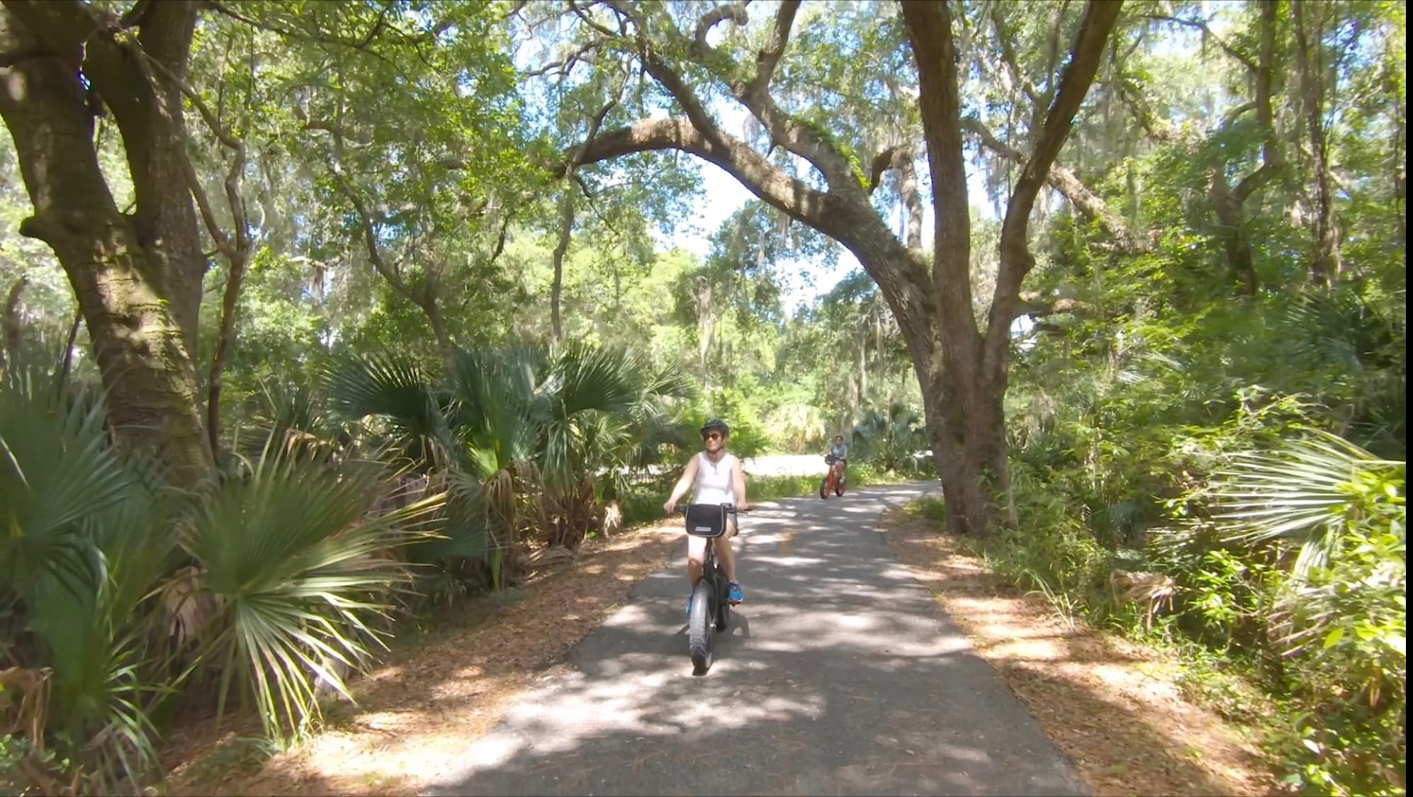 Cyclist riding electric bike down shaded oak-lined forest trail
