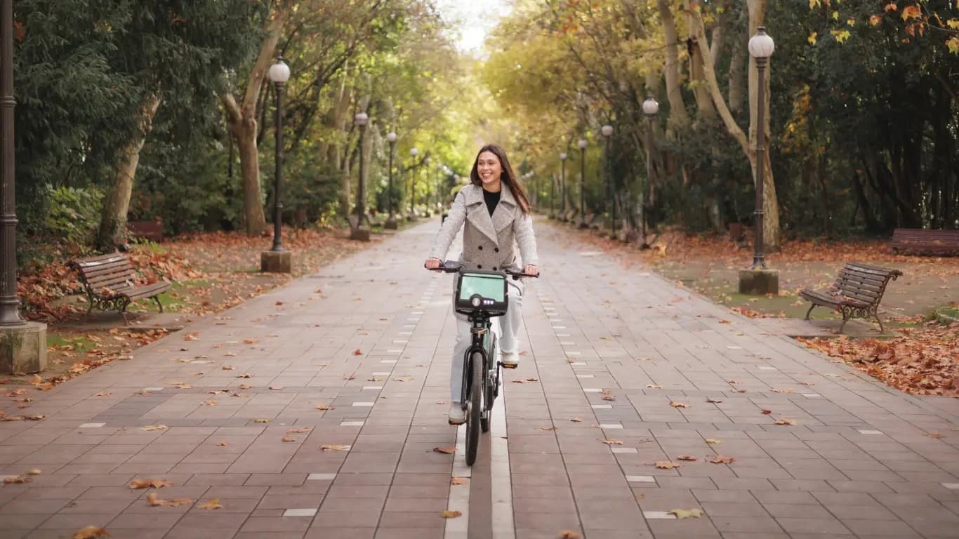 Bike Tours with Avocado Tours in Amsterdam: Discover the Netherlands on Two Wheels