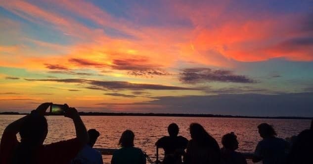 Sunset Dolphin & Wildlife Cruise by Adventure in Paradise Inc in Fort Myers