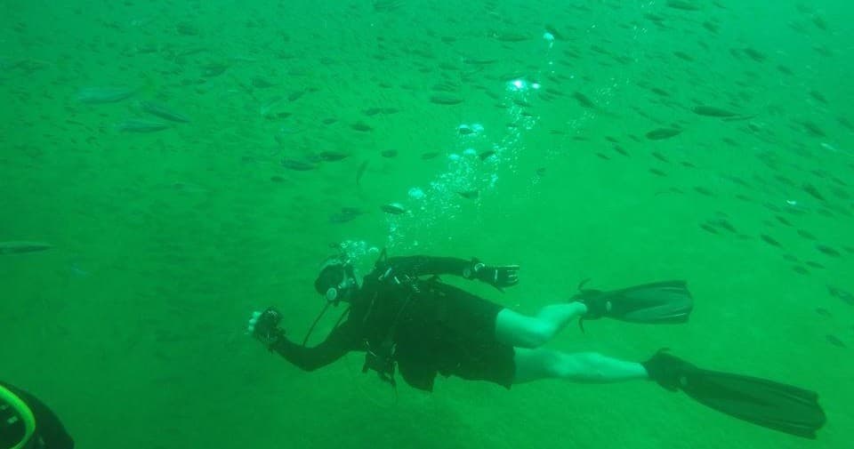 Water Activities with Niuhi Dive Charters in Hawaii