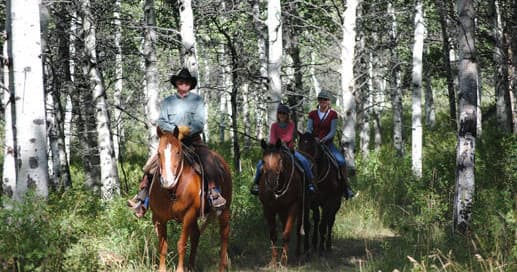 Half-Day Dogsled & Snowmobile Combo at North Forty Escapes | Oakley, UT