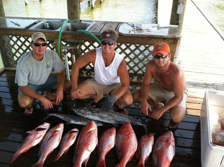 Six-Hour Gulf Fishing Charter from Fort Morgan: Family Offshore Adventure