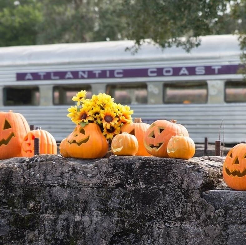 Pumpkin Patch Express in Parrish FL: A Family-Friendly Autumn Adventure