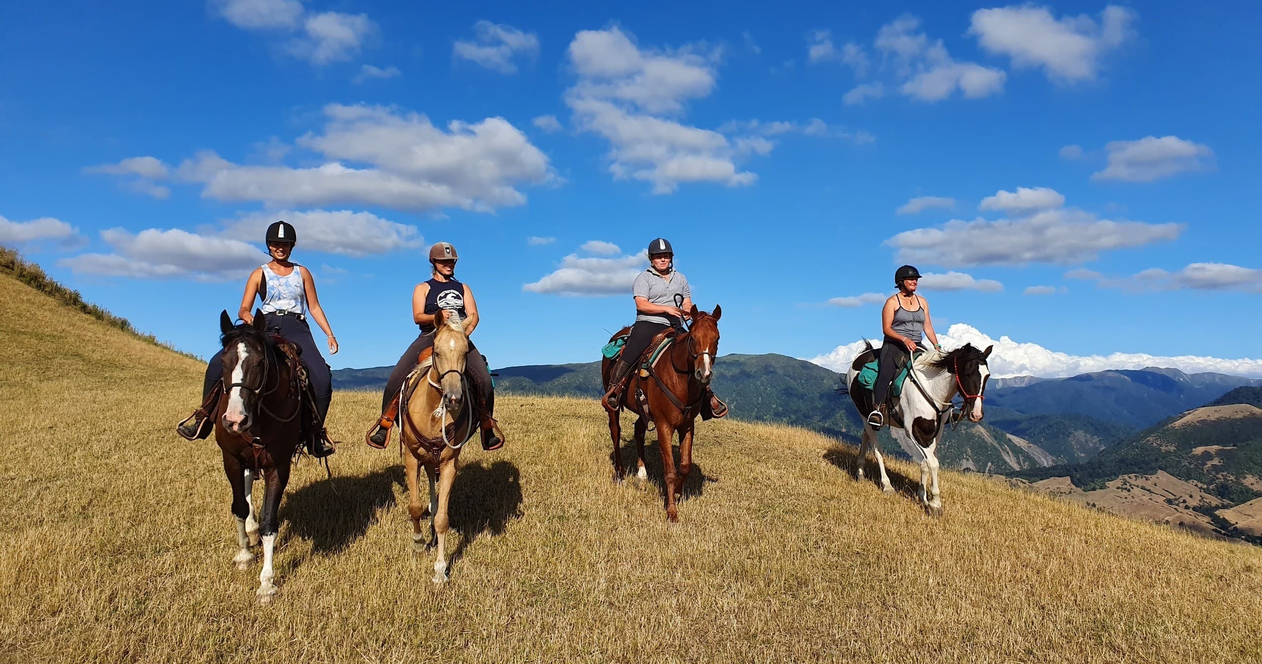 Horse Trekking with River Valley Ventures in Taihape