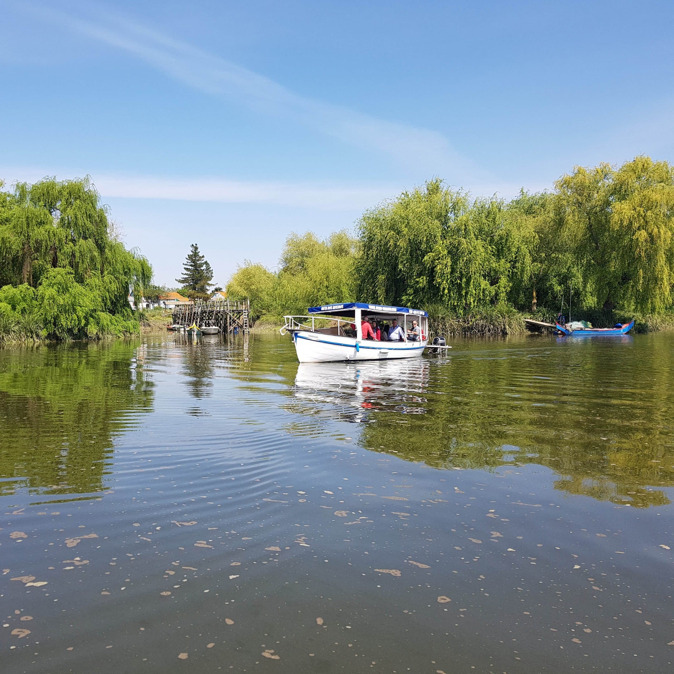 Small leisure boat cruising a willow-lined riverbank