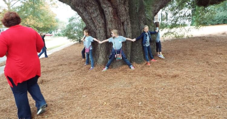 Children hugging a giant live oak tree in a public park