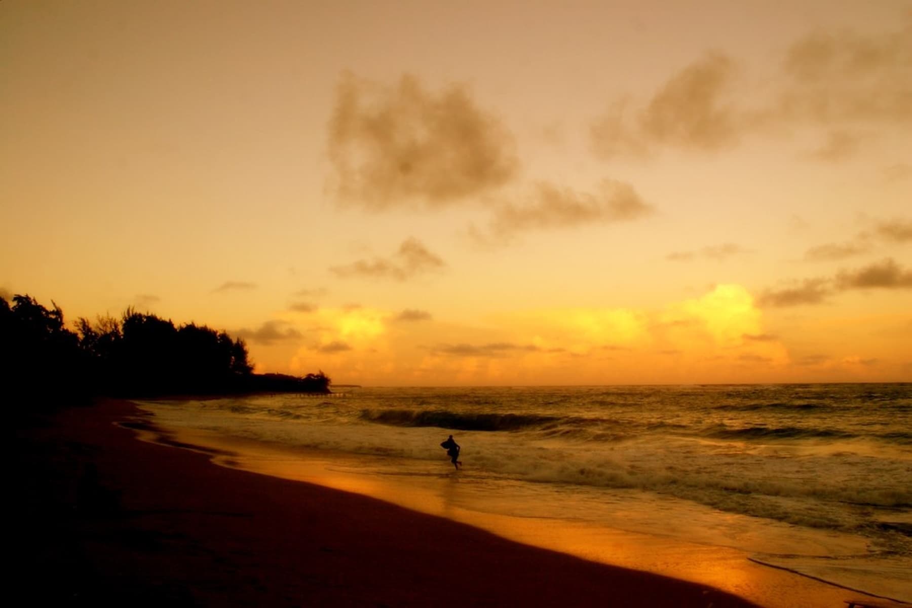 Surfer walking along tropical beach shoreline at golden sunset