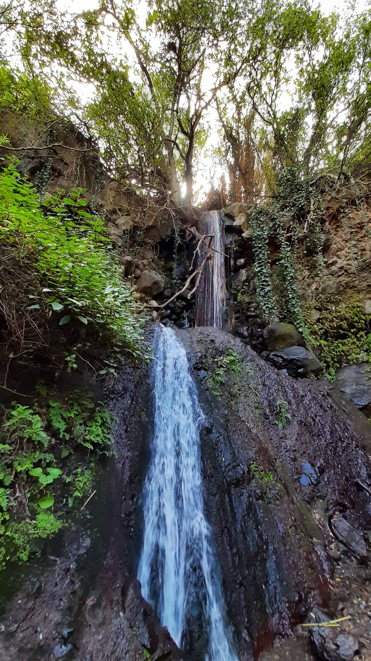 Cascading waterfall in lush forest canyon for nature hikes