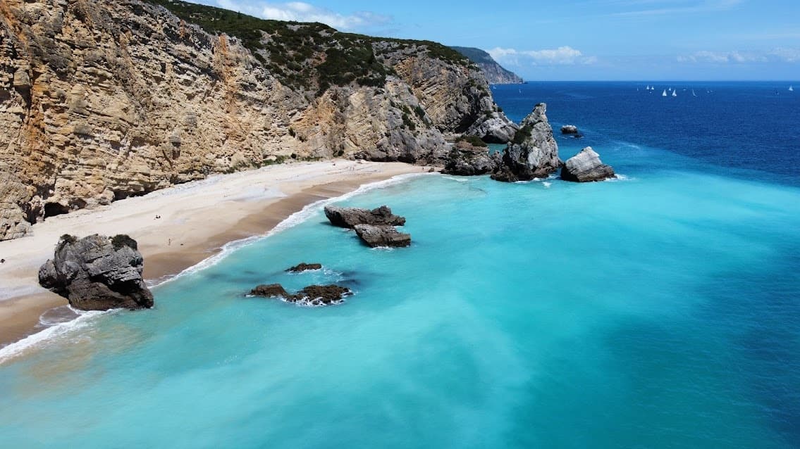 Dolphin Watching Experience in Sesimbra: Up-Close Encounters with Portugal’s Coastal Giants