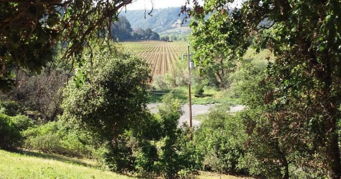 Private Shuttle Service in Santa Rosa by California Transportation Services
