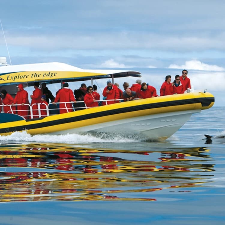 Bruny Island Day Tour: Coastal Walks, Wildlife & Gourmet Tastings from Hobart