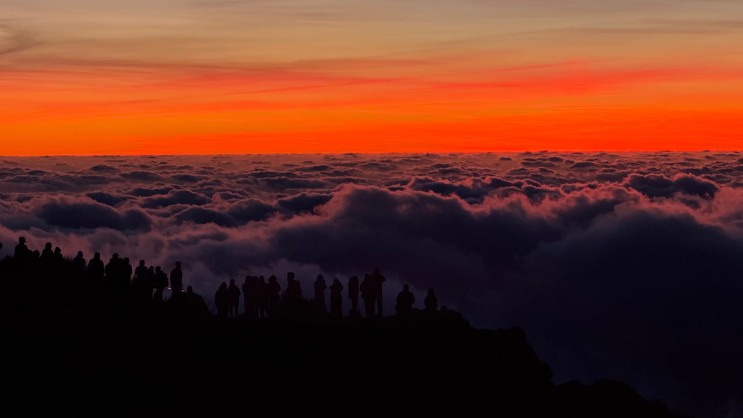 Above-the-Clouds Sunrise Tour in Madeira: Mountain Views from Santa Cruz