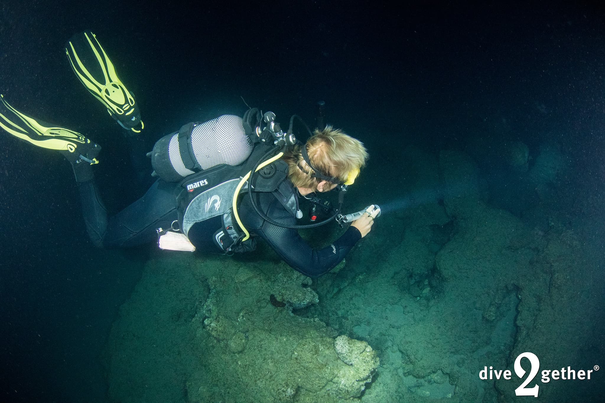 Night Dive in Crete: Torch-lit Bioluminescence and Nocturnal Marine Life photo 4