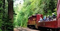 Explore the Redwood Route: Electric-Assist Railbikes Along California’s Noyo River
