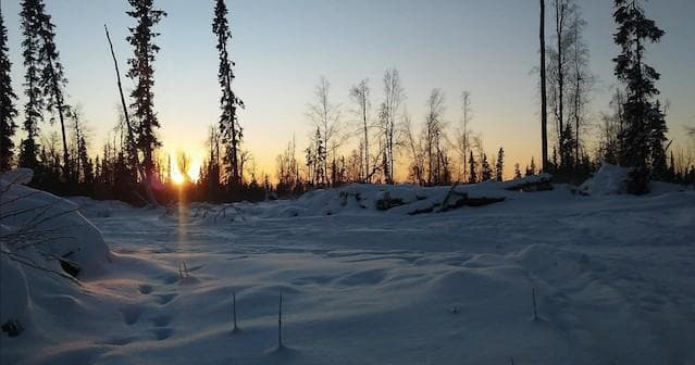 Explore Fairbanks After Dark: Evening Snowshoe Tour Through Alaska’s Boreal Forest