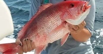 Experience Beaufort's Nearshore Fishing with Capt. Jim’s 3/4 Day Charter