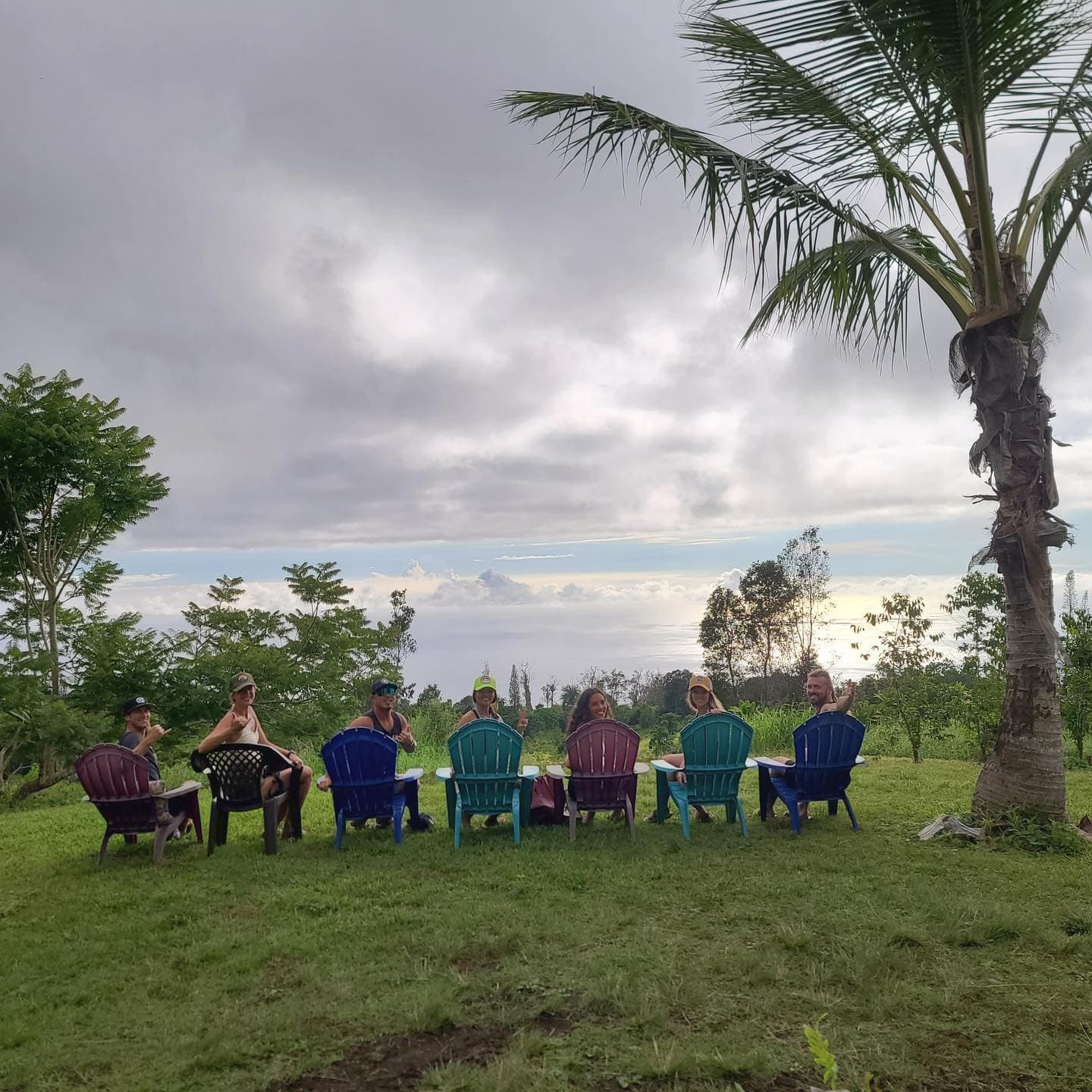 Kona Coffee & Tea Self-Guided Tour at Buddha’s Cup — Taste Holualoa’s Mountainside Farm