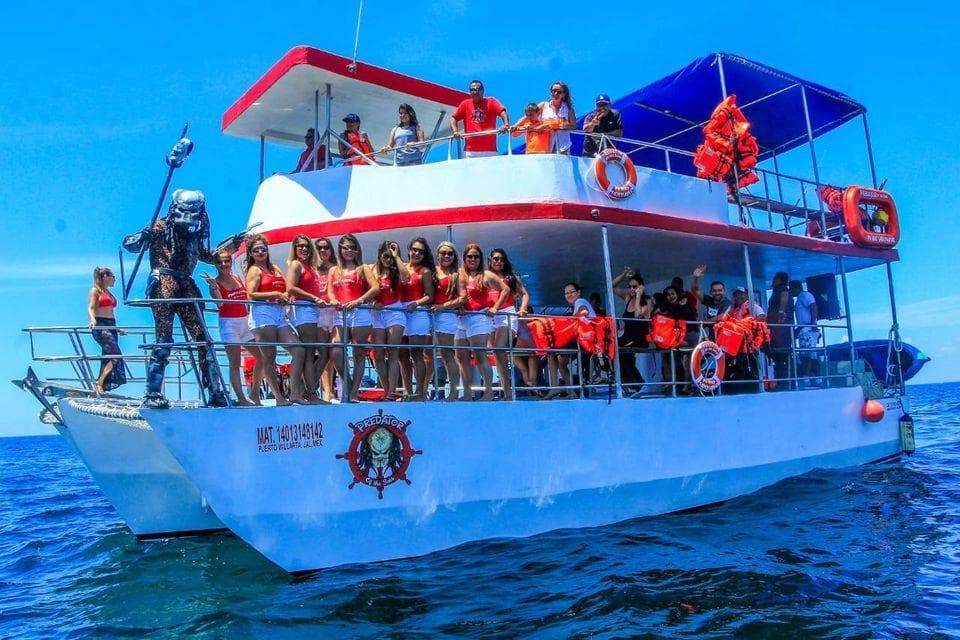 Marine Wildlife & Shark Encounters at Puerto Vallarta Net