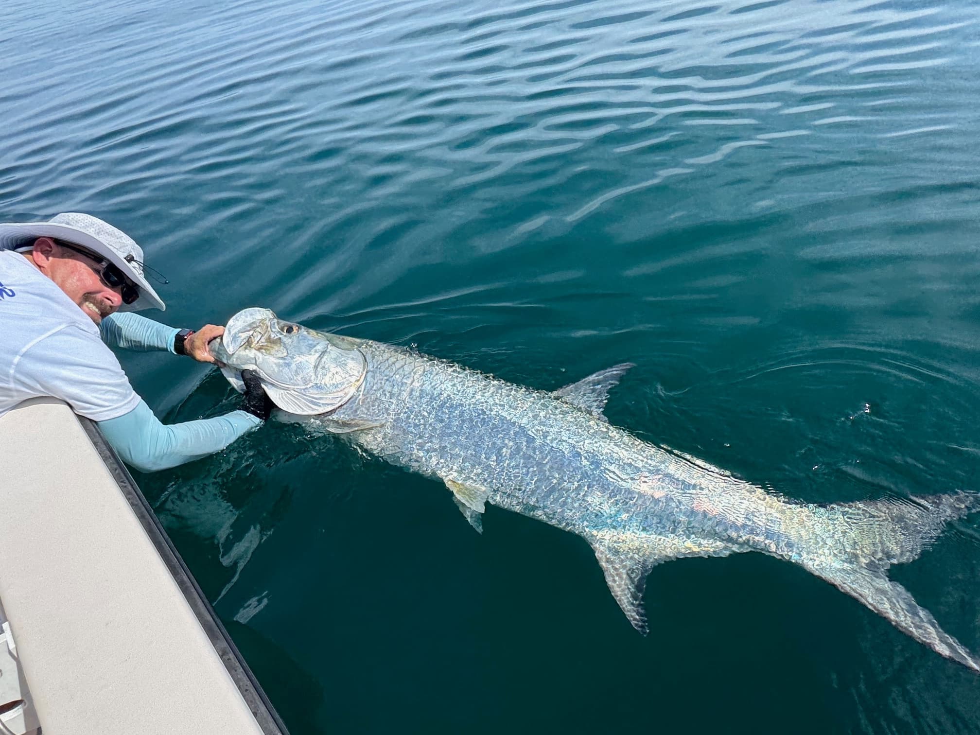 Nearshore Fishing Charters in Port Canaveral: Hook Tarpon, Sharks & More