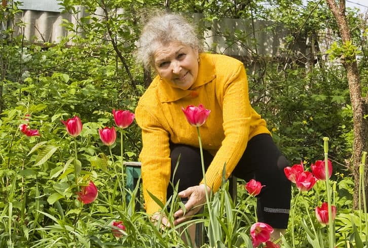 Senior Garden Club at Topanga Community Center