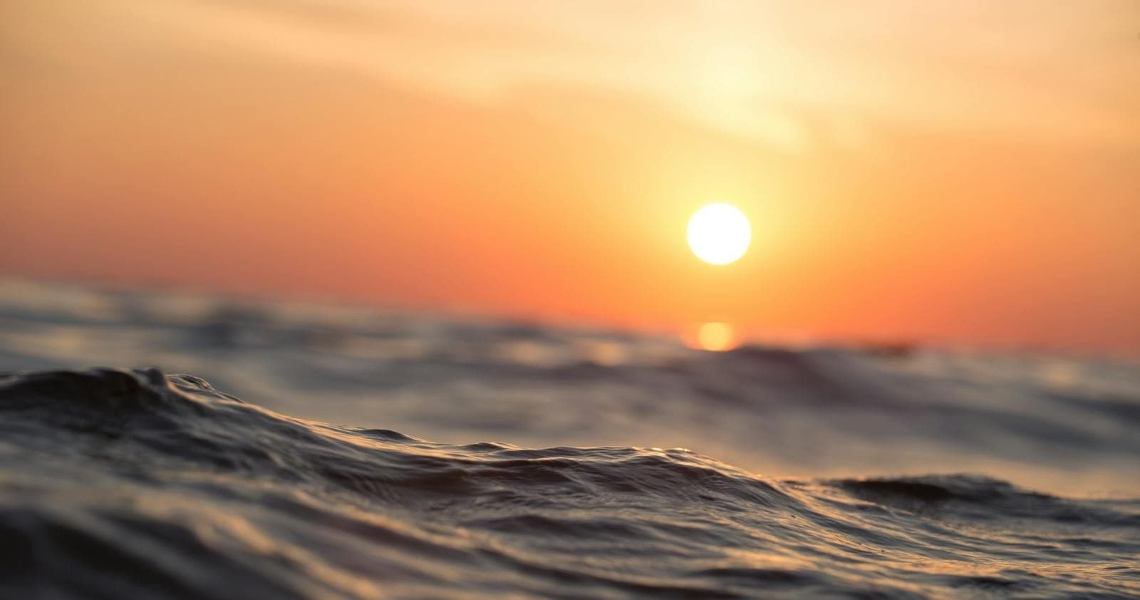 Sunset Catamaran Cruises with Laroma Yachts Florida