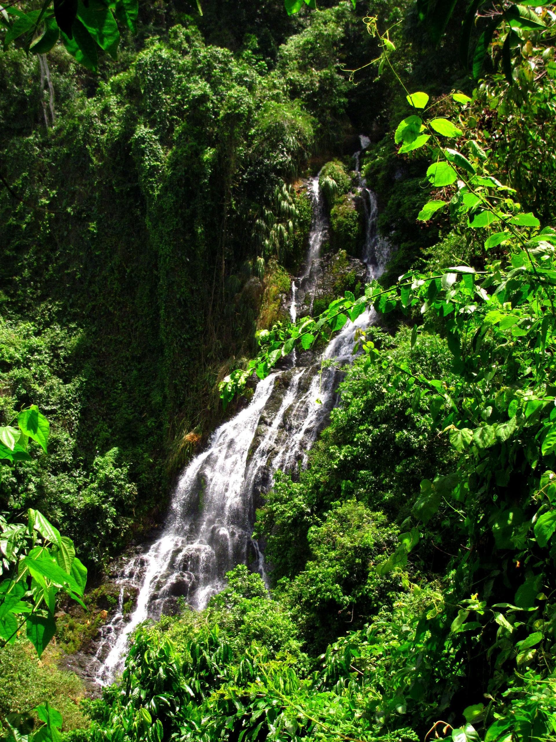 Land Adventures: Caribbean Adventure Company in Puerto Rico