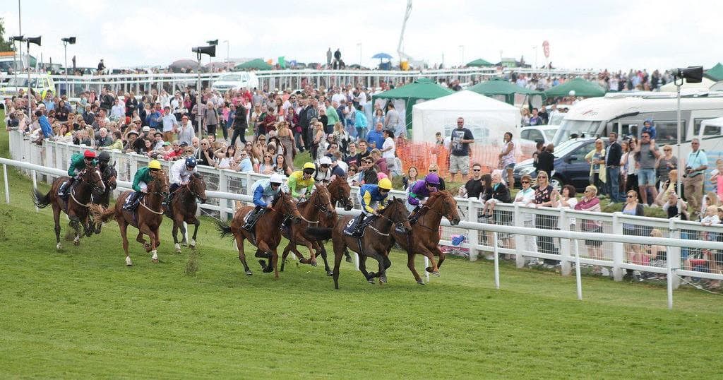 Thoroughbred horse racing action on grassy track at event