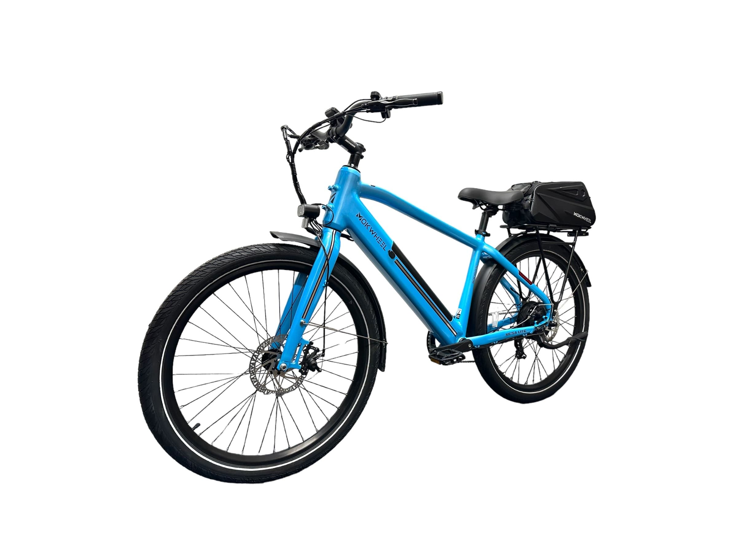 Ebike Rentals in Largo by High Voltage Ebikes: Discover Pinellas County