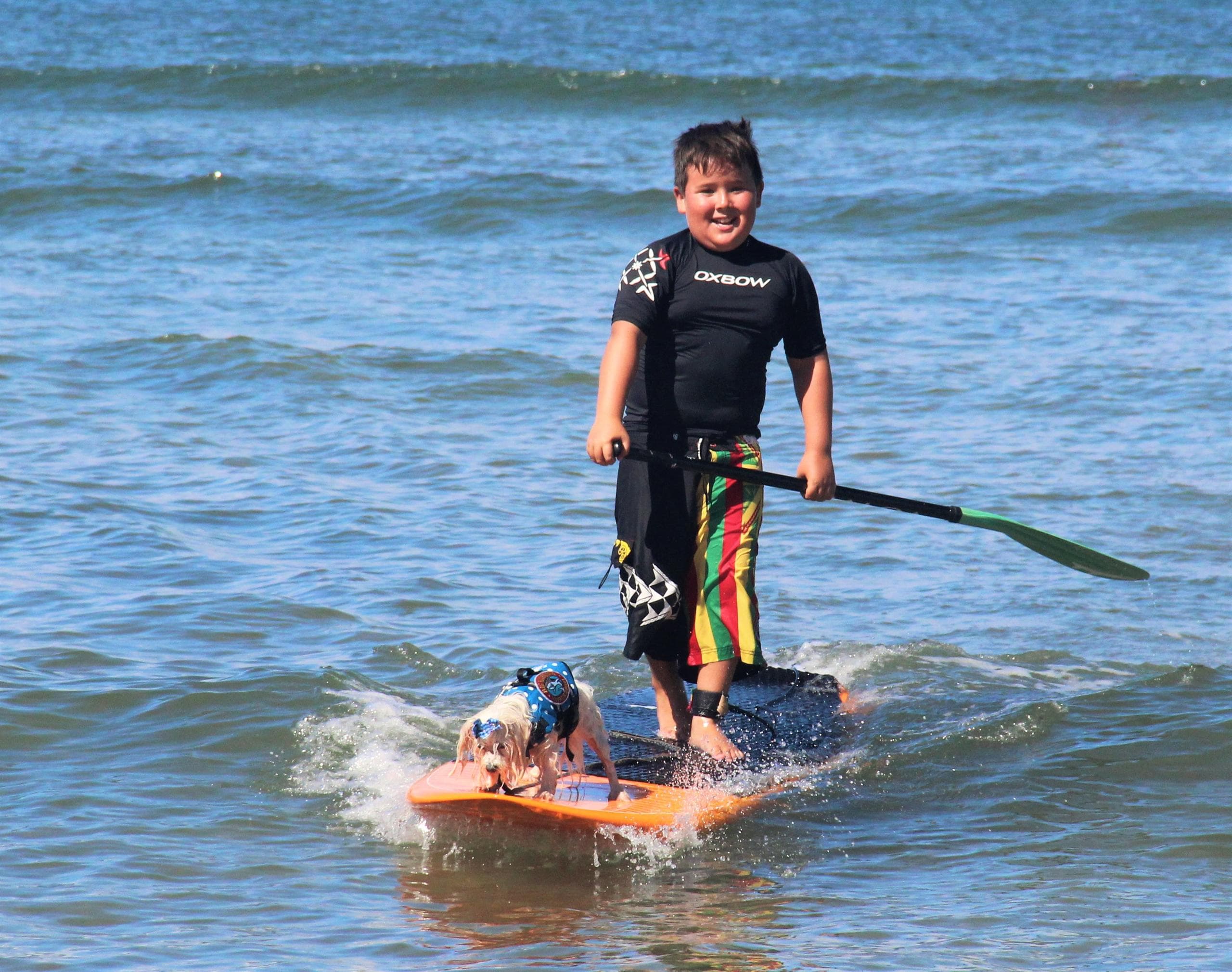 Paddleboard Lessons in Sunny Kihei, Hawaii